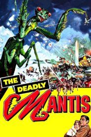 The Deadly Mantis ฤทธิ์หมัดตั๊กแตน พากย์ไทย