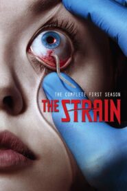 The Strain Season 1 เชื้ออสูรแพร่สยอง ปี 1 พากย์ไทย/ซับไทย