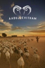 Aadujeevitham: The Goat Life คนเลี้ยงแพะ ซับไทย