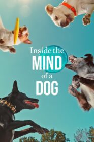 Inside the Mind of a Dog อ่านใจสุนัข พากย์ไทย